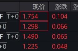 跨境ETF热潮与风险：溢价、停牌与投资策略