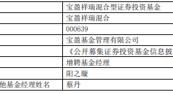 宝盈基金阳之璇增聘及区块链技术潜在影响